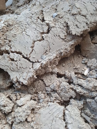 The image shows a close-up of dry, cracked earth. The soil is a light, dusty brown color with a rough, uneven surface. There are many fissures and fragments of soil, indicating it is brittle and has likely been exposed to the sun and air for some time. Some small pieces of debris are visible within the soil. There is no visible indication of the location being Eshanguzar, Uzbekistan, nor are there any people, subjects, objects, actions, or interactions directly observable. The environment is a dry, arid soil composition.