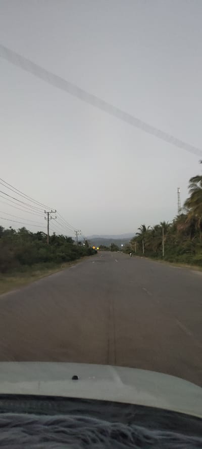 The image depicts a straight, empty asphalt road extending into the distance, with a faint hazy sky overhead. The road is bordered by lush green vegetation on both sides, with palm trees and other foliage creating a tropical landscape. Power lines stretch across the scene, supported by wooden poles. In the distance, mountains can be seen under the overcast sky. A few distant lights are visible, suggesting a sparsely populated area. The foreground shows the hood of a vehicle, indicating the image was taken from a moving car. There are no people or animals directly visible on the road, though a person on a bicycle is seen in the middle distance on the right side of the road.