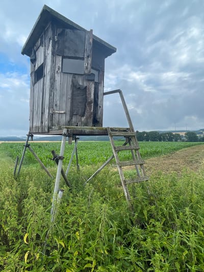 In a rural landscape near Hattendorf, Germany, a dilapidated wooden hunting blind stands elevated on metal poles amidst dense green foliage and a cornfield. The blind, weathered and showing signs of disrepair with peeling tarpaulin and loose wooden planks, features a simple wooden ladder leading up to its platform. Beyond the field, a line of trees and rolling hills can be seen, with two wind turbines visible in the distance under a cloudy sky. The overall impression is one of abandonment and the encroaching nature reclaiming a man-made structure in a rural setting.
