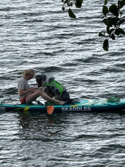 A woman and a dog are on a paddleboard in the water. The woman is sitting on the left side of the paddleboard, wearing a light-colored t-shirt and red shorts. She is looking down at something in her hands. The dog is sitting to her right, wearing a bright green life vest. The paddleboard is dark green and has the word "SKADDLES" written on the side in white letters. An orange paddle is resting on the paddleboard. The water is choppy, with ripples visible. There are some dark leaves and branches hanging from above on the right side of the frame. The image appears to be taken from a slightly elevated perspective. The location is the city of Priladozhskoe, Russia.