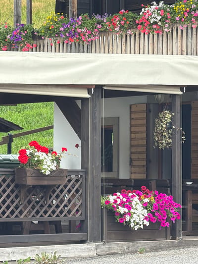 The image depicts an outdoor seating area in Sauris / Zahre, Italy, featuring a wooden balcony overflowing with vibrant flowers. A light-colored awning is stretched across the upper portion of the seating area. The balcony railing is adorned with wooden pickets and a wooden planter box filled with red and white flowers. Below the balcony, another wooden planter box is filled with pink, white, and red petunias. The scene is framed by dark wooden posts and beams, with wooden shutters visible in the background. Green grass and a wooden fence are visible beyond the balcony. The overall impression is one of a charming and well-decorated outdoor space.