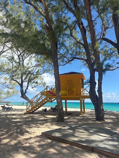 The image captures a sunny beach scene in Wellhouse, Barbados. In the midground, a two-story, bright yellow wooden structure, resembling a lifeguard station or beach hut, stands elevated on stilts. It features a brown roof and a wooden staircase leading to its upper level, where a red kayak marked "RESCUE" and a yellow kayak are stored. Several tall, slender trees with green foliage are positioned in the foreground and midground, casting dappled shadows on the light tan sand. To the right, the calm, turquoise ocean extends to the horizon under a clear blue sky with scattered white clouds. A distant landmass or rock formation is visible on the far left horizon. On the beach, two individuals are visible relaxing in dark lounge chairs to the left of the hut. Another individual walks near the waterline further left. A fourth person is seated in a dark lounge chair beneath the hut's shadow on the right. In the bottom right foreground, a rectangular concrete pad, edged with wood, is partially visible on the sand. Dark organic debris is scattered across the sand near the hut's base.