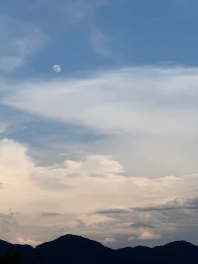 The image depicts a daytime sky with a pale moon visible. The sky transitions from a clear blue on the left side of the frame to a more overcast and cloud-filled area towards the right. A dark, silhouetted mountain range occupies the far right edge of the image, with indistinct foliage visible at its base. No people or human-made objects are evident, besides what looks like a single bird. Without further context, the location in Zhaltusha, Bulgaria cannot be verified.