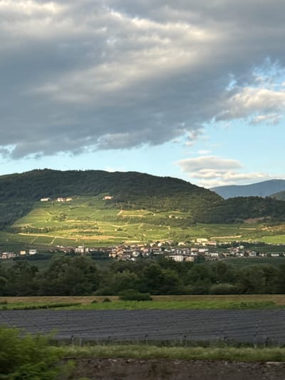 The image depicts a rural landscape in Zambana, Italy, characterized by rolling hills covered in lush green vegetation and vineyards. In the midground, a cluster of buildings forming a village is nestled against the hillside, with a prominent church spire visible. The foreground features agricultural fields, some covered with dark netting, suggesting cultivation. The sky above is a mix of dramatic, dark clouds and patches of bright blue, with sunlight illuminating the slopes of the hills, creating a play of light and shadow. The overall scene conveys a sense of tranquility and agricultural productivity within a scenic Italian setting.