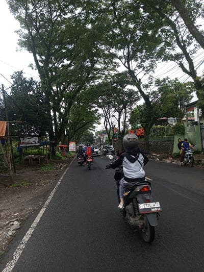 The image depicts a daytime street scene in Kamji Na-Yekha, Bhutan, observed from the perspective of a person riding a dark-colored scooter on an asphalt road. The scooter's rider, viewed from behind, wears a gray and black hooded jacket, gray pants, and a dark full-face helmet. The visible rear license plate of the scooter displays the alphanumeric sequence "F 2310 H" and "07-20".
The road, bordered by a continuous white line on its left edge, extends forward under an overcast sky. A canopy of large, green-leafed trees lines both sides of the road. Ahead of the viewer's scooter, several other motorcycles are proceeding in the same direction, with at least one white car visible further in the distance behind them.
On the left side of the road, a rustic stall structure with a blue tarp roof, wooden posts, and an orange fabric draped over a post is present. A partially legible sign at this location appears to read "TJAMPA." On the right side of the road, behind a fence, multiple buildings are visible. One building displays a sign with the word "ENJAYA," and another features a stylized logo and text resembling "Canila" or "Cintaka." Two individuals are standing near a parked white motorcycle on the right shoulder, one of whom is wearing a yellow shirt. Overhead power lines and poles are also visible along the roadside.