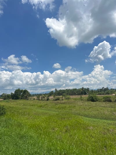 The image depicts a rural landscape under a bright, blue sky dotted with fluffy white clouds. In the foreground, a field of tall green grass dominates the lower half of the frame. Beyond the grassy field, a treeline stretches horizontally across the middle ground, featuring a variety of green trees and some scattered drier vegetation. In the distance, rolling hills can be seen beneath the sky. The environment appears natural and undeveloped. No people or animals are visible. The scene is static and peaceful. The image does not contain any contextual information that would allow for specific identification of its location within Tambon Phraek Ha, Thailand, beyond it being a rural area.