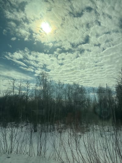 The image captures a winter landscape in a rural area of Чердаклы, Russia, during daylight hours. The upper portion of the frame features a bright, overexposed sun in the upper-left quadrant, encircled by a yellowish halo and lens flare, against a light blue sky partially covered by extensive, white and light grey altocumulus clouds displaying a wave-like pattern. Directly beneath the sky, a dense line of bare, leafless deciduous trees, primarily dark in silhouette but with some lighter-barked trunks (likely birch) visible, forms the midground and horizon. The lower two-thirds of the image are covered in undisturbed snow. Numerous thin, dark, bare saplings and branches protrude vertically from the snow-covered ground, forming a dense, twiggy foreground. No human figures, animals, or man-made structures are present within the scene.