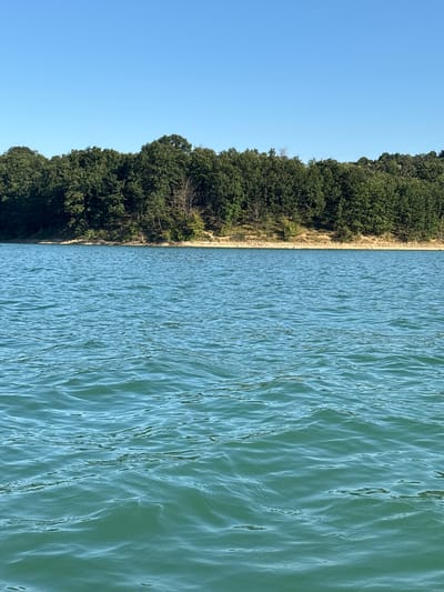 The image depicts a serene lake scene under a clear blue sky. The foreground is dominated by the tranquil, turquoise water of a lake, with gentle ripples indicating a slight breeze. In the background, a dense line of green trees forms a natural border along the shore, with a strip of tan earth visible between the water and the treeline. The trees are lush and varied, suggesting a natural, undeveloped environment. The sky is a uniform, bright blue, with no clouds visible. This scene appears to be a natural landscape. The location is the lake in Golyama Zhelyazna, Bulgaria.
