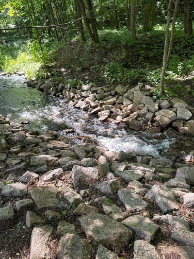 This media file shows a natural scene in a wooded area alongside a flowing stream. The stream is bordered by a rocky embankment composed of many large, gray stones. The water is clear and appears to be moving over the rocks, creating ripples and some white water. The embankment is dense with rocks, with some soil and dried leaves visible between them.

To the left of the stream, the scene transitions into a lush green forest. Tall trees with visible trunks and branches are interspersed with dense foliage, creating a shaded and verdant environment. Sunlight filters through the leaves, casting dappled light on the forest floor and the stream. The overall impression is one of a peaceful, natural setting, likely in a temperate climate during daylight hours. There is no indication of people, specific objects, text, or a particular event taking place. The location context provided suggests this scene is in Sdt Shcherbakovka, Russia.