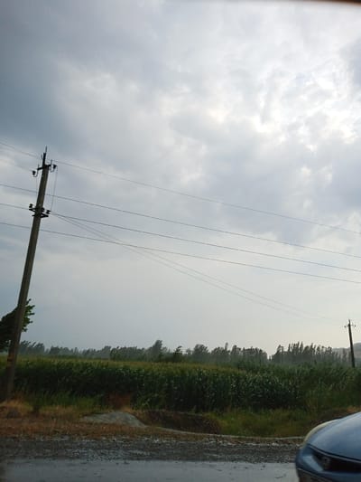 The image captures a rural scene under a cloudy sky, likely in the city of Kumush-Aziz, Kyrgyzstan. In the foreground, a grey car's hood and headlight are partially visible on the right side, parked on a wet, gravelly surface. A power pole with wires stands prominently on the left, supporting several electrical lines that stretch across the frame. Beyond the pole, a field of tall green crops, possibly corn, dominates the middle ground, appearing wind-swept. A line of trees borders the field, and in the distance, rolling hills are faintly discernible against the overcast sky. The overall impression is one of an outdoor environment, possibly experiencing inclement weather due to the wet ground and the heavy cloud cover.