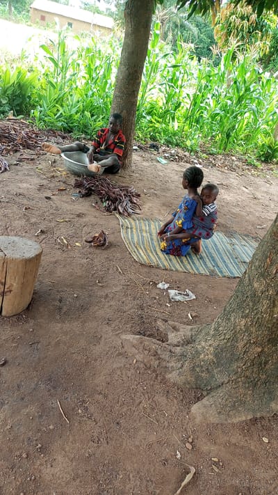 In Jere North, Nigeria, two children and a young person are pictured outdoors under the shade of a tree. The scene appears to be a rural setting with a cornfield visible in the background and a small building in the distance. The ground is covered in dirt, with some dry leaves and twigs scattered around.
To the left, a young person is seated on the ground next to a large metal basin. They are wearing a striped shirt and dark pants, and their legs are extended, with their feet bare. The basin contains what appear to be dried pods or seeds. A pile of similar items is situated beside the basin.
In the center right of the image, a young girl is seated on a striped mat. She is wearing a colorful dress and has a baby strapped to her back. The baby is wearing a striped shirt. The young girl is facing away from the camera, and her head is slightly turned to the side.
To the left of the scene, a wooden stump is visible. In the background, lush green corn stalks tower over the other elements, with some trees and foliage beyond. The overall impression is one of everyday life in a Nigerian village.