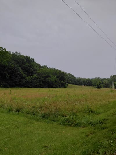 The image depicts an overcast, rural landscape. In the foreground, a field of tall, dry grass transitions to a manicured lawn. Behind the field, a dense line of dark green trees forms a natural barrier. In the distance, more trees and rolling hills are visible under a gray sky. Two power lines stretch diagonally across the upper right portion of the frame. The scene appears to be located in the outskirts of Frankfort, United States, suggesting a natural setting with minimal human intervention.