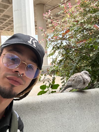 A selfie shot features a man with dark hair, dreadlocks, a beard, and a nose ring. He wears a black cap with a white "M" logo and gold-rimmed glasses. To the upper right of the frame is a light gray bird perched on a gray textured wall. Behind the bird and the man are green foliage, with some leaves having pinkish hues. The setting appears to be urban, potentially in Yaiza, Spain, given the request, though specific location indicators are not visible.