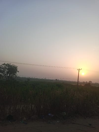 The sun rises over a rural landscape. Tall grass and scattered vegetation fill the foreground, transitioning into a field. A solitary tree stands to the left. Power lines stretch across the scene, leading to a utility pole silhouetted against the rising sun. The sky is light, a gradient of pale blue to orange near the horizon. Debris litters the lower edge of the frame.