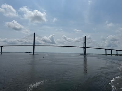 The image captures a view of the Dames Point Bridge, a prominent cable-stayed bridge spanning the St. Johns River in Jacksonville, Florida. The bridge is visible in its entirety, with its two tall, iconic towers and intricate network of cables stretching across the frame. The bridge's deck is a broad, flat surface, supporting traffic and creating a distinct silhouette against the sky. The surrounding environment is dominated by the expanse of the St. Johns River, its dark, rippling waters reflecting the overcast sky. Small boats are scattered across the river, adding a sense of scale and activity. The sky itself is a mix of blue and white, with scattered clouds adding texture and depth. The scene is peaceful and serene, with the imposing structure of the bridge serving as a symbol of human engineering amidst the natural beauty of the river and sky.