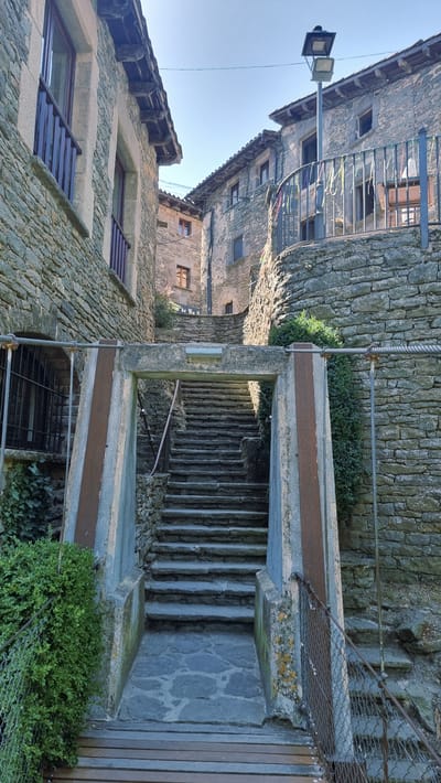 The image depicts a narrow stone stairway in the historic village of Rupit i Pruit, Spain, likely in its medieval quarter. The stairway is framed by rough stone buildings with slate roofs, characteristic of the region. A rustic stone archway marks the entrance to the stairs. The steps themselves are made of stone, and the path at the bottom appears to be paved with flagstones. The scene is bathed in natural sunlight, casting shadows and highlighting the textures of the stone. Greenery, including ivy on the left building and a dense shrub to the right of the stairs, adds a touch of nature to the stone architecture. A metal railing and some wire fencing are visible along the sides of the path and stairs, suggesting a functional or safety feature. A street lamp stands on a pole above the buildings on the right. There are no people or animals visible in the frame.