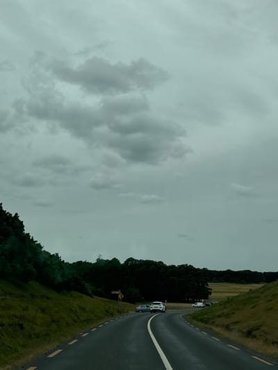 The image depicts a paved road curving through a landscape under a cloudy sky. On the left, a steep, grassy embankment covered in lush green vegetation slopes upwards. On the right, a similar grassy embankment forms the side of the road. In the distance, a dense line of dark green trees creates a stark contrast against the lighter sky. Beyond the trees, a field of dry, golden grass stretches towards the horizon. Several parked cars are visible on the right side of the road, near the edge of the tree line, suggesting a parking area. A yellow road sign with directional arrows is also present on the right side of the road. The overall impression is one of a rural setting on a overcast day in Curragh Edge, Ireland.