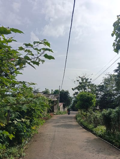 A paved road stretches into the distance, bordered by lush greenery and trees. A lone motorcyclist travels along the road. Above, a sky with wispy clouds is bisected by a prominent power line. Structures with corrugated rooftops are visible to the left. Foliage dominates the foreground, framing the scene with various shades of green.
