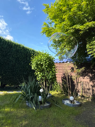 The image shows an outdoor garden setting in Lauchhammer, Germany. The sky is blue with scattered white clouds. A tall, dense evergreen hedge stretches across the lower portion of the image. Above the hedge, there are bushes, and above the bushes there's a tree with vibrant green leaves. A large, transparent bubble floats near the tree. A wooden fence with a wire mesh overlay is visible in the background. In front of the fence, there are some spindly tree branches and two planters. Each planter has grey rock siding, white rocks inside, and a white spherical light. Lawn grass surrounds the planters.