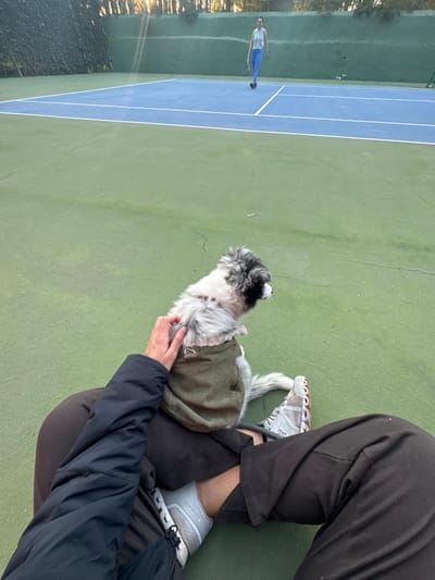 A small dog wearing a green vest sits on a person's lap on a green tennis court. The person wears brown pants, white shoes, and a dark jacket. In the background, a person in athletic wear walks or runs on the blue portion of the tennis court. The scene is outdoors and likely in the morning or late afternoon due to the angled sunlight.