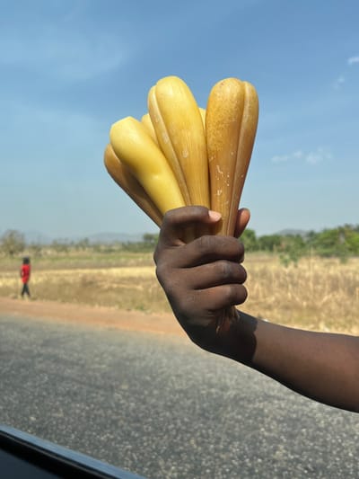 A dark-skinned right arm extends from a vehicle's interior, visible from the window frame in the lower right. The hand firmly grasps a bundle of approximately six elongated, yellowish-tan plant material segments, resembling dried palm fronds, arranged to function as a handheld fan. In the midground, a paved road surface occupies the lower left, adjacent to a strip of dry, reddish-brown earth. A single individual, wearing a red top and dark lower garments, walks leftward on this dirt strip. The background consists of expansive, dry, yellowish-brown fields under a clear blue sky with scattered white clouds, culminating in distant, faint hills on the horizon. The scene is located in the city of Aboro, Nigeria, under bright daylight.