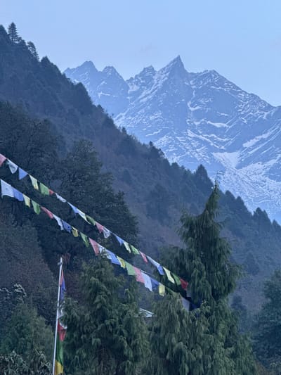 The image presents a serene mountainous landscape, likely situated in the high altitudes of Nepal as suggested by the context of Khumbupasanglahmu. The scene is dominated by natural elements and cultural symbols.

In the foreground and midground, dense, dark green evergreen trees, possibly conifers, cover steep mountain slopes. These trees appear lush and abundant. Diagonally across the upper right to lower left of the frame, multiple strings of colorful Tibetan prayer flags are prominently displayed. These flags feature traditional colors such as blue, white, red, green, and yellow, adding vibrant splashes to the otherwise muted natural tones. They are partially integrated with the tree foliage, suggesting a well-established placement.

The background is dominated by a majestic, snow-capped mountain peak. Its rugged, rocky surface, streaked with snow, rises steeply against a hazy, light blue-grey sky. The atmospheric haze suggests either an overcast day or the typical conditions found at high elevations, lending a soft, diffused quality to the light and partially obscuring the finest details of the distant peak.

The overall impression is one of tranquility and natural grandeur, underscored by the spiritual presence of the prayer flags. The time of day appears to be daytime, possibly early morning or late afternoon, given the soft, non-harsh lighting. No people or specific activities are visible, but the prayer flags evoke a sense of cultural and spiritual significance. No discernible text is visible on the flags or within the scene.