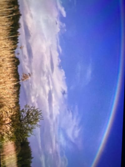 The image is a tilted, low-resolution photograph of a rural landscape. On the left, a golden-brown field of dry grass or grain is visible, with a scattering of dark green trees and foliage in the lower portion. A single, light-colored shrub or small tree stands out in the middle of the field. The sky occupies the right two-thirds of the image and is a vibrant blue, with wispy white clouds. On the far right edge, a faint rainbow arc is visible, suggesting recent or ongoing rain. The scene depicts a natural environment with elements of agriculture and sky. There is no indication of the city of Kotka, Finland, or any urban elements in the image.