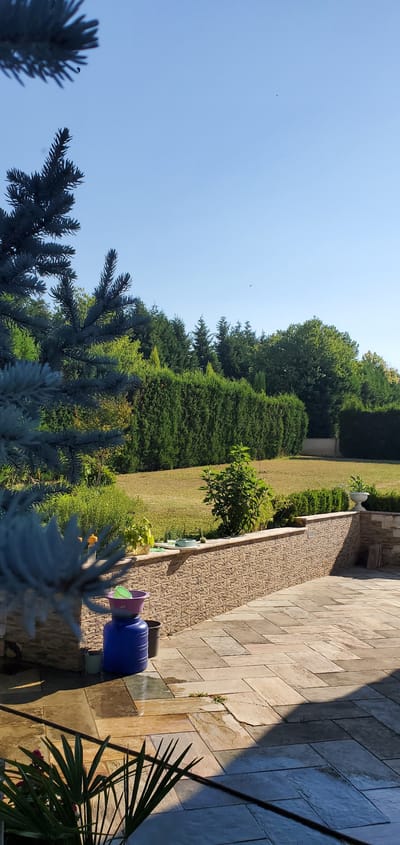 In the city of Nea Santa, Greece, a sun-drenched backyard features a paved patio with large, irregular stone tiles. A textured, light-brown brick wall separates the patio from a grassy area. Beyond the wall, a neatly trimmed, dense green hedge forms a backdrop, with a variety of trees, including evergreens and deciduous varieties, visible behind it. In the foreground, a blue barrel with a purple basin on top sits on the patio, accompanied by a smaller black bin and a light-colored bucket. A potted plant with spiky green leaves is also visible in the lower left corner of the frame, with a dark hose running horizontally across the lower section of the image. The sky is a clear, pale blue, with no clouds visible.