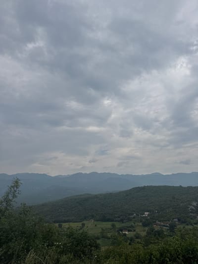The image depicts a wide landscape view of rolling, densely forested hills and mountains under a cloudy, overcast sky. In the mid-ground, a small settlement with several buildings and some cleared agricultural land is visible nestled within the green hills. The foreground is dominated by dark green foliage, with some lighter green grass and white wildflowers. The distant background shows layered mountain ranges fading into the haze. The scene is likely rural, given the presence of the settlement and the undeveloped natural environment. The location is identified as Frutak, Montenegro.