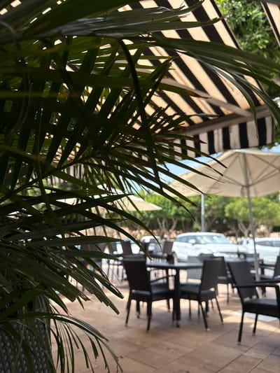 An outdoor cafe seating area in Campillo Del Moro, Spain is captured, with lush green palm fronds dominating the foreground and obscuring much of the view. Beyond the foliage, a striped awning with black and beige stripes is visible overhead. Several outdoor tables with dark chairs are set up on a tiled patio. In the background, white umbrellas provide shade, and white cars are parked. Trees line the area, suggesting a sunny day in a developed urban or resort setting.