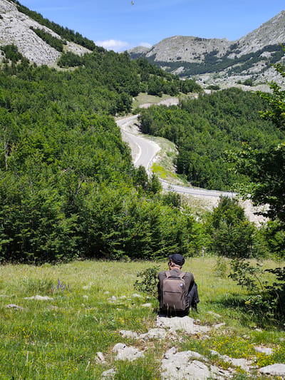 In Dolovi, Montenegro, a lone individual wearing a dark cap and backpack sits facing away from the camera, gazing at a winding mountain road cutting through lush green trees. The scene is set against a backdrop of rugged, rocky mountain slopes under a clear blue sky. The person is seated on a grassy incline dotted with stones and small yellow wildflowers. The road, a light gray asphalt, curves dramatically up the mountainside, bordered by a metal guardrail and interspersed with patches of lighter-colored gravel and vegetation. The dense foliage of deciduous trees covers the majority of the mountainous terrain, with occasional sparser areas revealing the rocky underpinnings. A single, small white bird is visible high in the sky, adding a sense of scale and wildness to the expansive natural landscape.