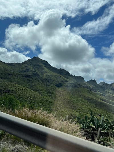The image shows a mountainous landscape with a blue sky dotted with white clouds in La Aldea de San Nicolás, Spain. A steep, green hillside covered in vegetation is visible to the right of the frame, and a tall, rocky mountain stretches into the sky. In the foreground, there is a metal guardrail, with some cacti and tall grasses growing behind it. The weather is clear and sunny.