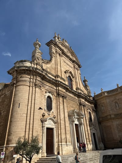 An upward-angled, low-perspective view captures the ornate stone facade of a grand Baroque-style building, likely a church or cathedral, in Monopoli, Italy. The structure is constructed from light-colored stone blocks, showcasing intricate architectural details including columns, pilasters, decorative carvings, cornices, and balustrades. Spire-like elements and statuettes adorn the upper parts of the facade and roofline, visible against a clear, bright blue sky with a few faint wisps of clouds.

The building features several windows; some are oval-shaped with decorative frames and grates, while others are rectangular with dark wooden doors or grates. Bright sunlight casts distinct shadows, indicating a clear, sunny day, likely mid-day to afternoon.

On the right side of the image, several people are visible near the building's entrance or along its base. Some individuals are standing on what appears to be a raised platform or steps, with one person in a red shirt and others in lighter clothing. A partial view of a white vehicle is seen at the far right edge. A small, gnarled tree with dark green foliage stands near the bottom right of the facade. A street sign with a red circular 'no stopping' or 'no parking' symbol is partially visible below the tree. A small, dark bird is captured in flight in front of the building. No legible text is visible on any signs or the building itself.