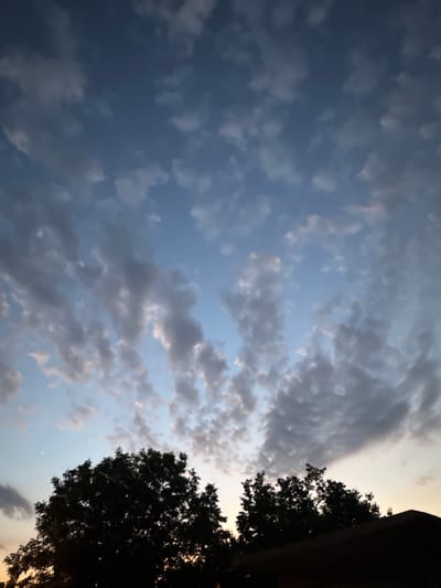 This is a low-angle, vertical photograph of a cloudy sky, taken from Topolchane, Bulgaria. The scene is dominated by a sky filled with scattered, textured clouds ranging in color from dark gray to light gray and white. The blue of the sky is visible in patches between the clouds, particularly in the upper left portion of the image.
In the lower right quadrant, a silhouetted tree with dense foliage is visible, with its branches reaching upwards towards the sky. To the right of the tree, a dark, vertical object, possibly the side of a building or a lamppost, is also in silhouette. The light suggests it is either early morning or late evening, with a gradient of light hues in the upper right corner. The weather appears to be partly cloudy. No people or text are visible in the image. The overall mood is atmospheric and serene, capturing a moment of natural beauty.