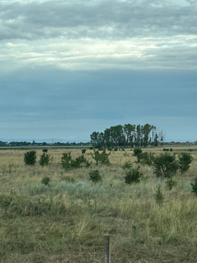 The image depicts a wide landscape of dry, tall grass under a cloudy sky. In the middle ground, a cluster of trees stands prominently, with a line of more trees and buildings visible in the far distance, suggesting a settlement. The foreground is dominated by the field of grass, with a fence post visible at the bottom. The overall impression is one of a rural or semi-rural setting, likely in the vicinity of Bozduganovo, Bulgaria, given the provided context. There are no people or specific actions captured in the scene, it is a static landscape.