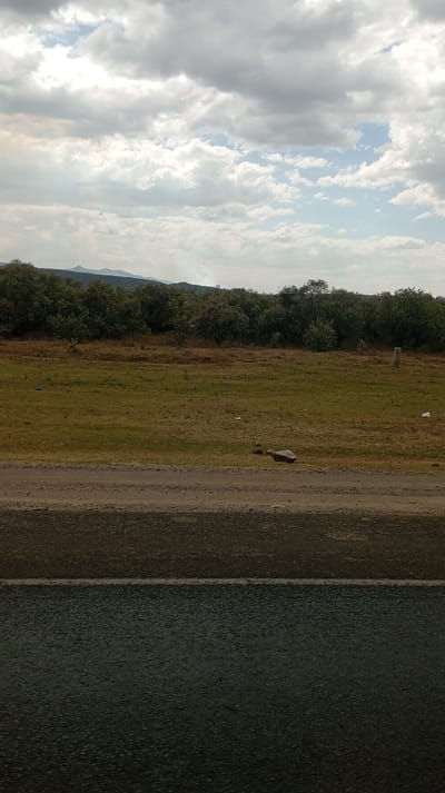 A wide shot reveals a landscape under a cloudy sky with patches of blue. A thick line of trees obscures the horizon. A grassy field stretches towards the trees, speckled with debris. In the foreground, a narrow, rough dirt road separates the field from a dark, reflective asphalt surface, likely a road, that dominates the lower part of the frame.