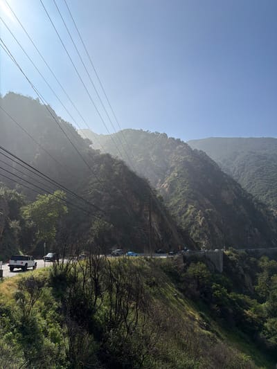 This image depicts a mountainous landscape along a roadway in the Unincorporated Santa Monica Mountains, United States of America, under a clear, bright blue sky with significant atmospheric haze. Multiple parallel power lines span diagonally across the upper left and center of the frame, originating from utility poles, obscuring portions of the steep, verdant mountainsides. The mountains are heavily vegetated with trees and scrub, exhibiting rocky outcrops and varied illumination due to direct sunlight from the upper left. A paved road, likely a highway, curves through the mid-ground, supported by a concrete or stone retaining wall on the right, and contains multiple vehicles. A white Jeep Wrangler is visible on the left side of the road, heading away from the viewer. Further along the road, a light blue sports car, dark sedans, and SUVs are present, appearing stationary or moving slowly, indicating traffic. The immediate foreground features a steep slope covered in green vegetation, interspersed with several prominent, dark, bare, skeletal shrubs or small trees. No discernible people are visible.