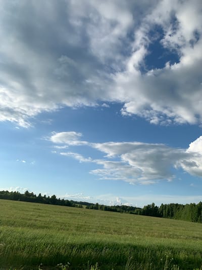 This image depicts a grassy field with a line of trees in the background, under a partly cloudy sky. The field is a vibrant green, with tall grass that appears to be naturally growing, rather than manicured. The trees form a dense line along the horizon, with some appearing taller and denser than others. The sky is a mix of bright blue and large, puffy white and gray clouds, suggesting a dynamic weather pattern. The overall scene conveys a sense of open, rural landscape. The location of Святица, Russia, is known for its natural beauty, often characterized by rolling hills, forests, and meadows, which is consistent with the environment shown in the image. There are no people or specific objects of interest visible in the frame, focusing solely on the natural landscape.