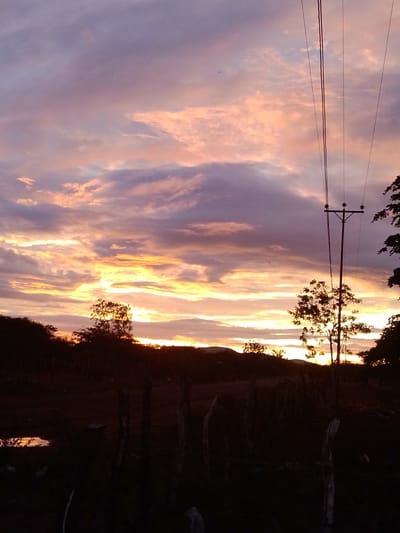 This media file depicts a vibrant sunset or sunrise over a rural landscape in El Samán, Venezuela. The sky is the dominant feature, filled with dynamic clouds painted in striking hues of purple, pink, orange, and intense yellow, particularly near the horizon where the sun's light is most pronounced.

The lower portion of the scene is cast into deep silhouette, revealing the dark outlines of abundant trees, bushes, and distant hills or mountains against the glowing sky. A tall utility pole, supporting several power lines, stands prominently on the right side, extending vertically towards the top of the frame. To its left, a silhouetted tree stands, with some of its foliage illuminated by the indirect light.

In the immediate foreground, a rustic wooden fence, constructed from several posts and wire, stretches across the frame, emphasizing the rural setting. On the dark ground, a small puddle of water acts as a mirror, reflecting a patch of the sky's fiery colors.

The image captures a moment of serene natural beauty, characterized by the dramatic interplay of light and shadow at either dusk or dawn, with sunset being more probable given the depth of colors. There are no people or specific activities taking place, and no visible text. The overall atmosphere is peaceful and tranquil.