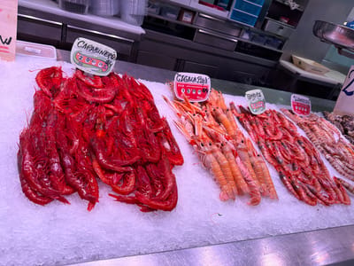 This media file shows a close-up, eye-level view of a seafood display on ice at a market stall. The main subjects are several varieties of fresh seafood, including large red shrimp, scampi (langoustines), and other smaller pink and red shrimp. The seafood is arranged in piles on a bed of crushed ice.
Several price tags are visible, indicating the type of seafood and its price per kilogram. One tag reads "CARABINERO" with a price of "20.00 €/KILO". Another tag says "GIGALA PINA" with a price of "15.00 €/KILO". A third tag, partially visible, says "GAMBA POD" with a price of "15.90". A fourth tag reads "LANGOSTING". The background shows the back of the market stall with shelving and containers, suggesting an indoor market environment. The lighting is bright, typical of a market.
The scene suggests a typical market day where fresh seafood is being sold. There are no people clearly visible in the frame, but the presence of the market stall and the display implies ongoing commerce. The location context of Alboraia / Alboraya, Spain, hints at a coastal area known for its seafood. The image captures the vibrant colors of the fresh seafood against the white ice.