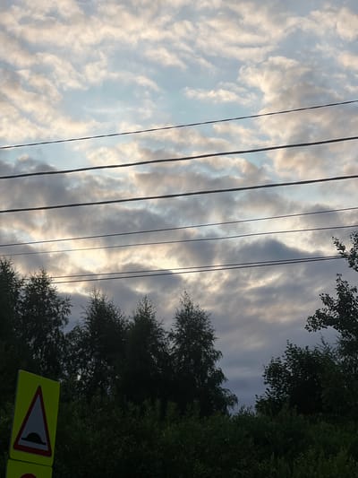 A low-angle, wide shot captures a view of the sky above trees in Soloslovo, Russia. The sky is filled with a mix of white and gray clouds, with patches of blue sky visible. Four parallel dark wires stretch across the frame, obscuring parts of the sky. Below the wires, the tops of dark green trees form a dense line across the bottom of the image. In the lower left corner, a yellow triangular road sign with a red border and a black depiction of a speed bump is partially visible. The scene appears to be captured during daylight hours, possibly late afternoon or early morning due to the cloud cover and lighting.