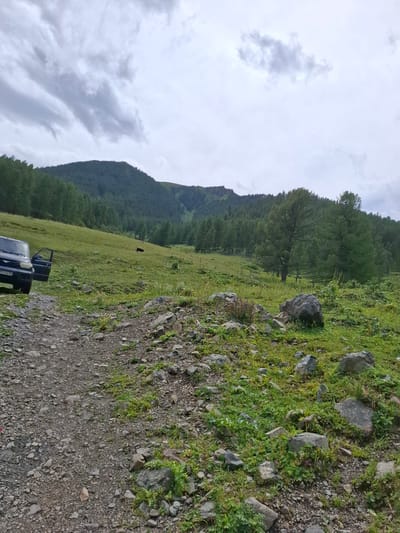 An SUV is parked on a rocky, dirt path in a grassy, mountainous landscape under a cloudy sky. The vehicle's driver-side door is open. In the background, a dark-colored bovine grazes in a green field. The terrain is covered with grass, rocks, and trees, with a large hill or mountain in the distance, densely populated with coniferous trees.