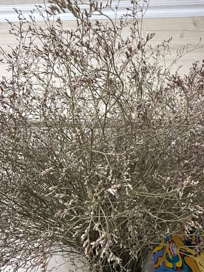 The image shows a close-up of a dried flower arrangement, possibly statice or baby's breath, with delicate, wispy stems and small buds. The flowers are a muted, dry tone of brown and off-white, with some faint hints of purple in the buds. The background is out of focus, suggesting a textured surface like a wall or fabric in a light color. In the lower right corner, a portion of a colorful object, possibly a vase or container with a patterned design, is visible. There are no people or animals present in the image. The lighting is soft and diffused. The image does not provide any information or visual cues that could place it in Zarechny, Russia.