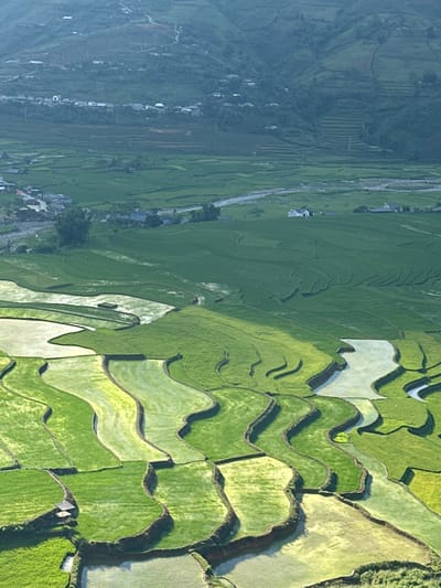 This image presents an expansive, elevated view of terraced rice fields and a valley landscape in Tú Lệ, Vietnam. The foreground is dominated by meticulously shaped, vibrant green rice terraces, some flooded with water reflecting the sky, while others are densely planted with young rice stalks. These terraces follow undulating, organic contours, separated by distinct dark earth retaining walls. A small, open-sided wooden shelter with a dark, possibly thatched roof is visible on a lower-left terrace. The midground extends into a wider valley floor, also cultivated with rice, and features a light-colored, winding river or stream bed. Scattered throughout this area are several clusters of residential structures, indicative of small villages or hamlets, with houses varying in color from white to darker tones, connected by visible roads. In the background, steep, heavily vegetated mountains rise, displaying some terracing and additional scattered buildings on their lower slopes, appearing distant and slightly hazy. No individuals or specific actions are discernible.