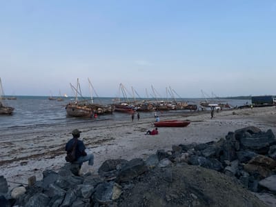 The image displays a coastal scene in Bagamoyo, Tanzania, likely during the late afternoon or early evening under a clear, light blue sky. The setting features a sandy beach meeting a calm body of water, possibly a bay or sheltered harbor.
Numerous traditional wooden sailing boats, characteristic of dhows, are the prominent objects in the midground. Many are docked in the shallow water or beached along the shore, displaying their distinct masts. Some boats further out in the water show partially unfurled white sails. The water is relatively calm, reflecting the soft light of the sky.
In the immediate foreground, a person, appearing to be an adult male, sits on a large, dark angular rock, facing away from the viewer and observing the maritime activity. He is dressed in a dark shirt, light trousers, and a cap, with a backpack on his shoulders. A sizable pile of similar dark rocks occupies the lower right portion of the foreground.
Scattered across the sandy beach and near the boats are several other individuals. Some appear to be working or engaged in activities near the water's edge, while one person is seen relaxing, lying down on the sand next to a bright red small boat that is beached. Further to the right, a large green truck or container vehicle is visible on an elevated patch of land near the water.
The scene suggests daily life and industry in a coastal community, with the boats likely used for fishing or local transport. The atmosphere appears tranquil and contemplative, with the soft lighting enhancing the sense of dusk or approaching evening. There is no visible text in the image.