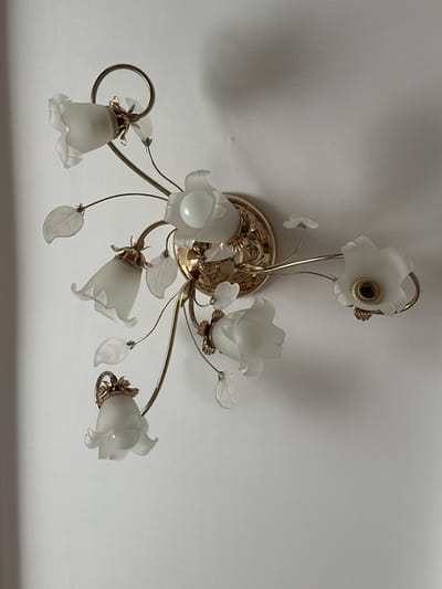The image shows a decorative ceiling light fixture mounted on a white ceiling. The fixture has a gold-toned base and multiple arms extending outwards. Each arm supports a frosted glass shade shaped like a bell or flower. There are also several small, translucent leaf-shaped ornaments attached to the arms. The light fixture is illuminated, casting soft shadows on the ceiling. The scene is indoors, in what appears to be a residential setting, and there are no people or other objects visible in the frame. The location of Yazykova Pyatina, Russia is not discernible from the image.