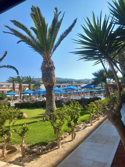This image depicts a sunny day at a resort or hotel in Kos, Greece. The scene is dominated by lush green grass, mature palm trees, and a paved walkway. In the background, a swimming pool area is visible, with numerous blue umbrellas providing shade for what appear to be guests relaxing or swimming. The architecture of the buildings suggests a resort setting, with multiple stories and balconies. The clear blue sky indicates fair weather, and the strong sunlight creates distinct shadows, suggesting it's likely midday. The overall impression is one of a peaceful, idyllic vacation destination. There is no visible text in the image.