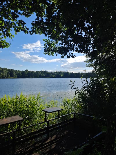 This image depicts a serene natural scene, likely a lakefront or riverbank, with a wooden platform in the foreground. The platform, constructed of dark wood planks and featuring a railing and two small, dark tables, appears to be a viewing area or seating space. Tall, vibrant green reeds and grasses grow along the edge of the water, creating a natural barrier between the platform and the lake.
The lake itself is calm and reflects the blue sky, which is dotted with fluffy white clouds. In the distance, a dense forest of green trees lines the opposite shore, creating a picturesque backdrop. The overall impression is one of natural beauty and tranquility, suggesting a place for relaxation and enjoyment of the outdoors. There are no people or animals visible in the image. The location of Местечко Раифа, Russia, is noted, implying this scene is situated within or near this area.