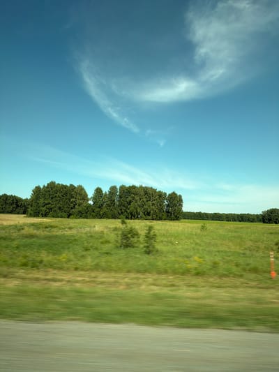 The image captures a wide, open landscape under a clear blue sky with wispy clouds. The foreground shows a blurred green field, indicating movement, possibly from a vehicle. In the midground, a line of lush green trees forms a dense forest, with a golden field to the left of the trees. The background consists of more trees and a distant horizon. There is a bright orange and white marker post visible on the right side of the image. The scene appears to be in a rural or natural setting, with no people or buildings directly visible. The location is identified as Bezmenovo, Russia.
