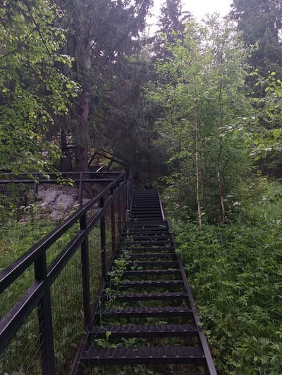 An outdoor, vertical, eye-level shot captures a metal staircase ascending through lush green foliage. The staircase, constructed from dark metal with grated steps, is lined with a matching metal railing and mesh fencing on its left side. The surrounding environment is dense with trees and undergrowth, indicating a natural, possibly wooded, area. The lighting suggests an overcast day. The scene appears to be a pathway or trail within a natural setting, likely in the city of Sim, Russia, given the context. No people are visible.